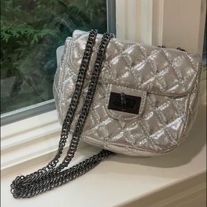 NWT: silver Amiana bag